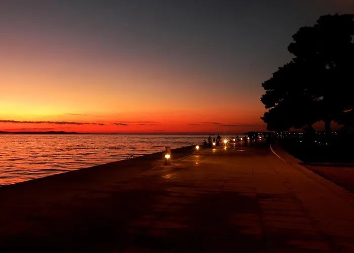 Branka 고르니 카린